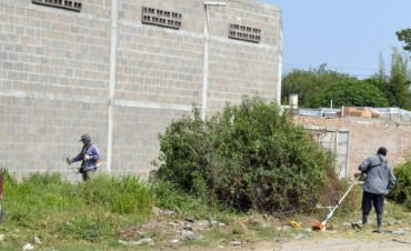La comuna multar&aacute;  a vecinos que no mantengan la higiene de su propiedad