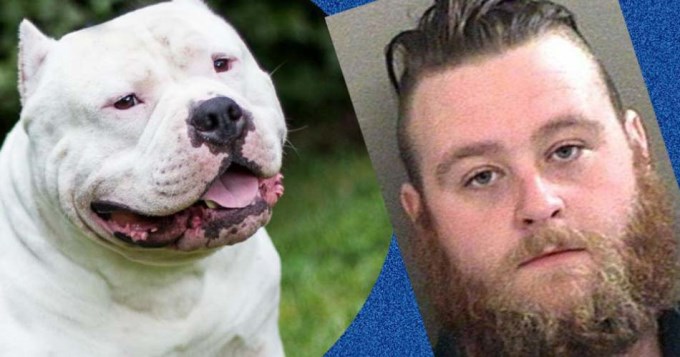 Bestia viol&oacute; m&aacute;s de 100 veces a su perra