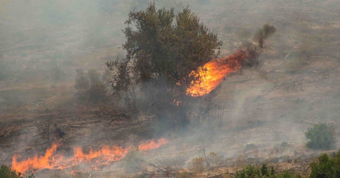 Chile: diez muertos y dos desaparecidos por incendios forestales