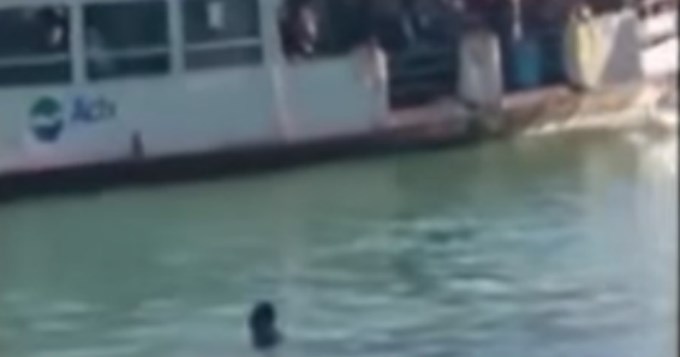 Filman la ag&oacute;nica muerte de africano que se ahog&oacute; en Venecia