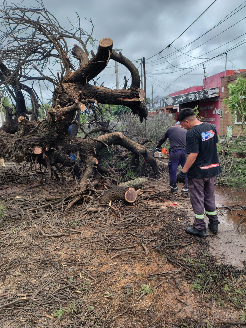 El Comité de Emergencia Municipal refuerza sus tareas tras las intensas lluvias