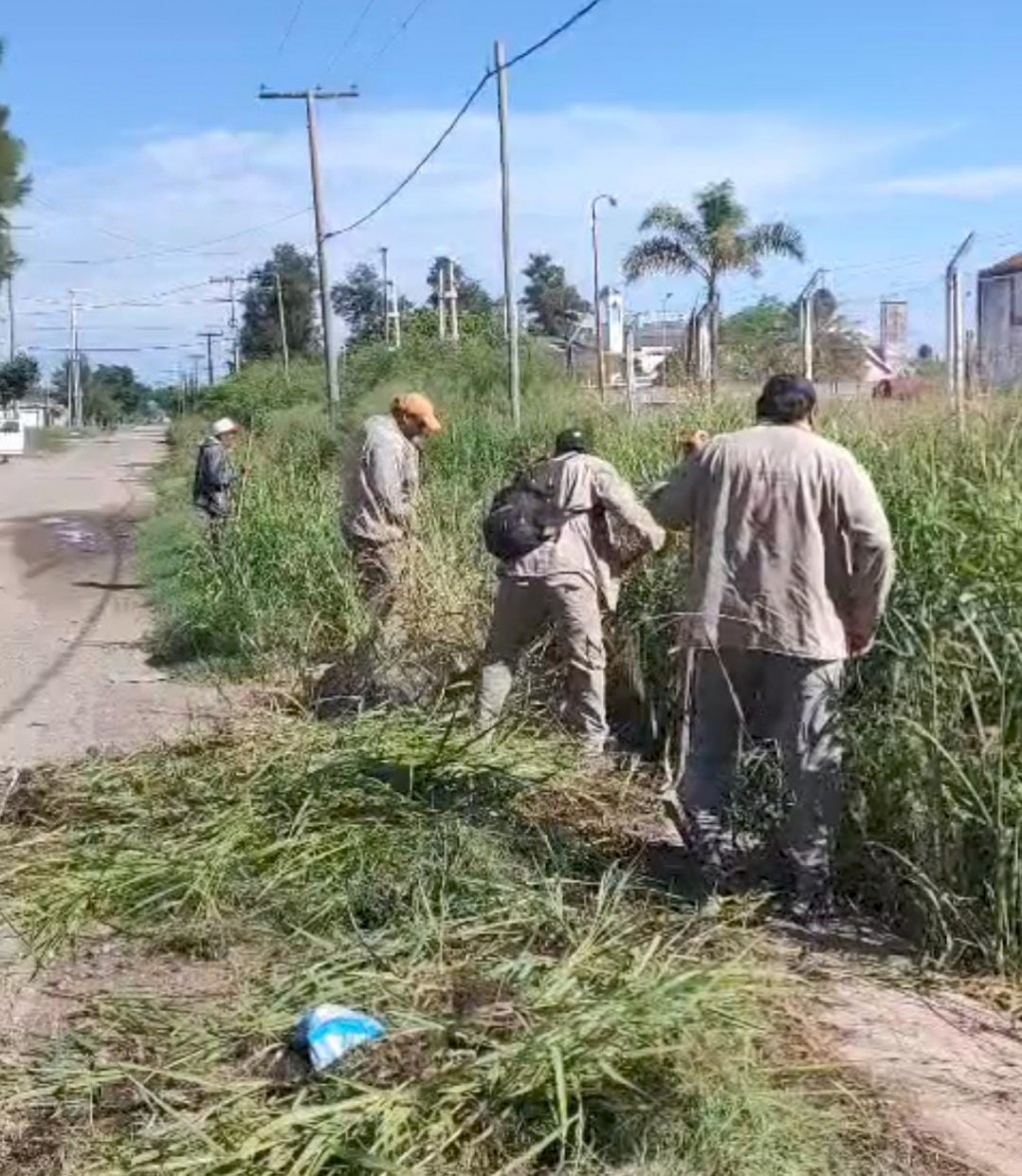  El Municipio refuerza tareas de desmalezamiento y mantenimiento de desagües 