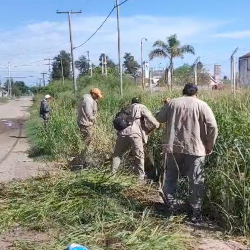  El Municipio refuerza tareas de desmalezamiento y mantenimiento de desagües 
