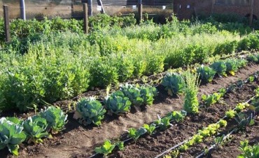 Coordinan acciones para promover la creaci&oacute;n de huertas familiares