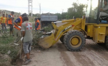  Importante operativo de limpieza en el barrio El Para&iacute;so