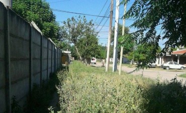 Multaron a m&aacute;s de un centenar de vecinos por arrojar basura a la v&iacute;a p&uacute;blica  