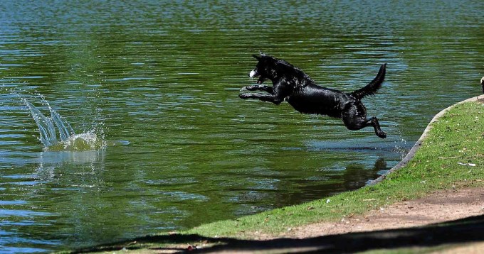 Elevan a "roja" la alerta por ola de calor en Buenos Aires y Rosario