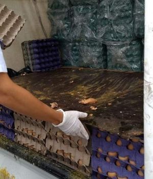 Denuncian a hombre por "romper los huevos" en un bald&iacute;o