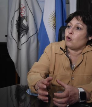 La "cucaracha" Oca&ntilde;a teme "ser exterminada"