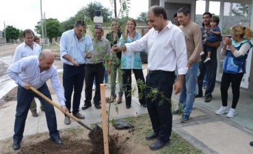 El municipio realiz&oacute; trabajos de reforestaci&oacute;n en el jard&iacute;n de infantes N&ordm; 808