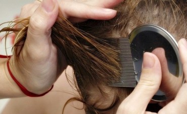 Brindan consejos para prevenir y combatir la pediculosis en los ni&ntilde;os   