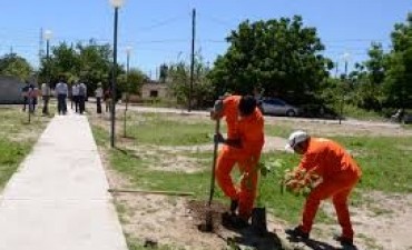  La ciudad ofrece entornos para promover la actividad deportiva