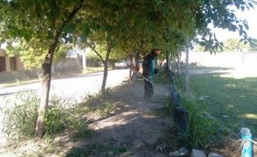  Servicios P&uacute;blicos apuesta a una ciudad m&aacute;s limpia