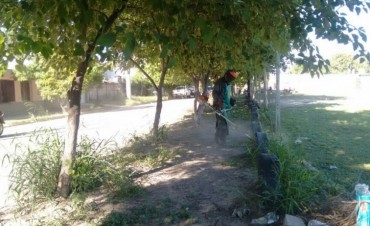  La comuna refuerza el desmalezamiento y la fumigaci&oacute;n en la &eacute;poca de lluvias
