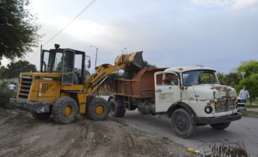  La comuna realiza un enorme despliegue para la limpieza y desmalezamiento en toda la ciudad