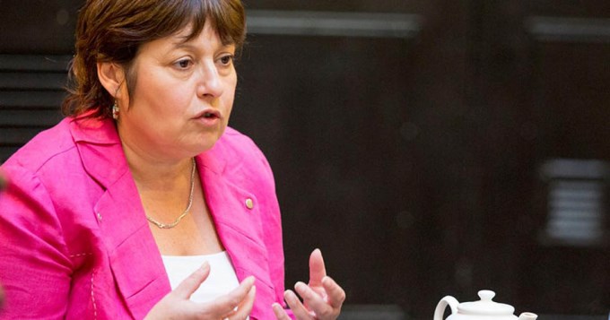 "Sectores kirchneristas abandonaron las reglas democr&aacute;ticas"