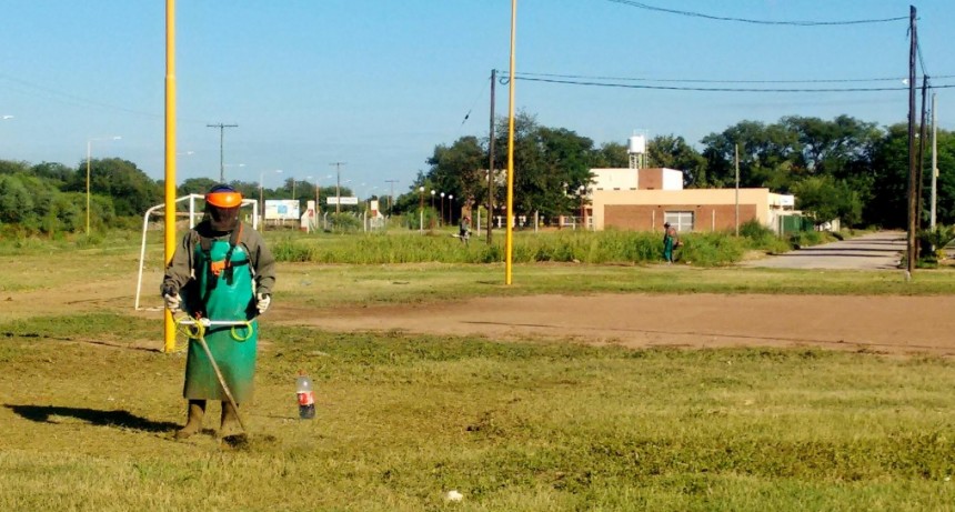 Realizan desmalezamiento y rastreo en diferentes barrios de la ciudad