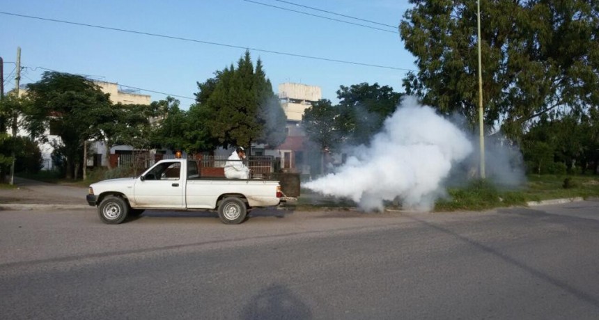 La comuna intensifica los operativos de fumigaci&oacute;n en la ciudad 
