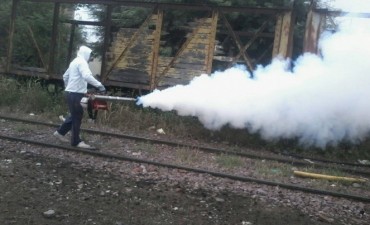 Refuerzan trabajos de fumigaci&oacute;n y desmalezamiento en microcentro