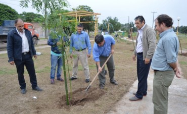 Contin&uacute;an los trabajos de arbolado urbano en la ciudad