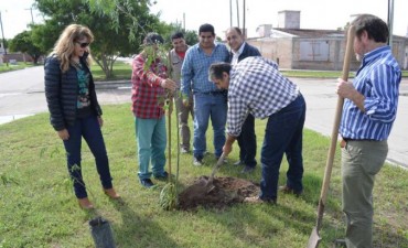 El municipio avanza con el plan de arbolado e higiene en el barrio El Rinc&oacute;n