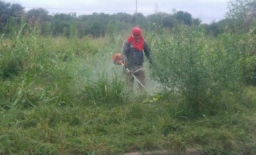 Realizan trabajos de desmalezamiento en el barrio San Carlos