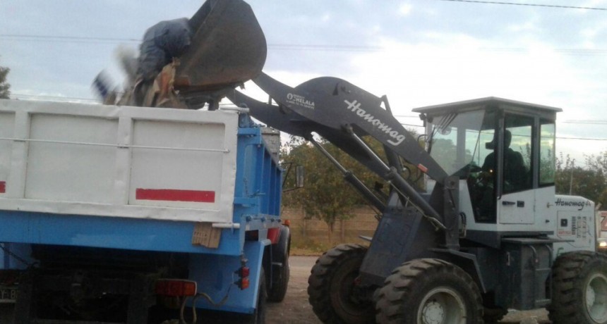  Se realizaron tareas de limpieza y desmalezamiento en distintos sectores