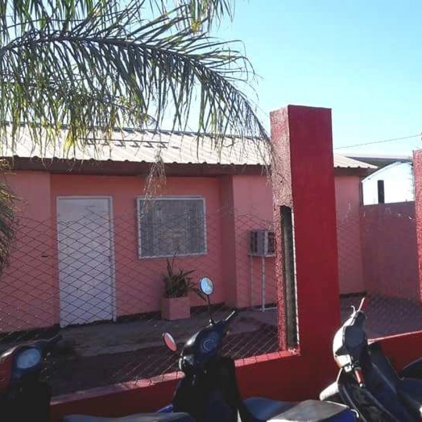 El municipio entregar&aacute; turnos para castraciones a bajo costo de perros y gatos