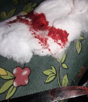 Acuchill&oacute; a perrita de su vecina porque le comi&oacute; el almuerzo