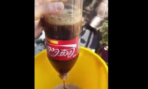 Compr&oacute; botella de Coca y apareci&oacute; flotando una rata
