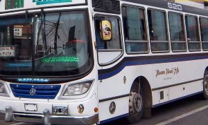 Detuvieron a un tercer hombre por el crimen del colectivero 