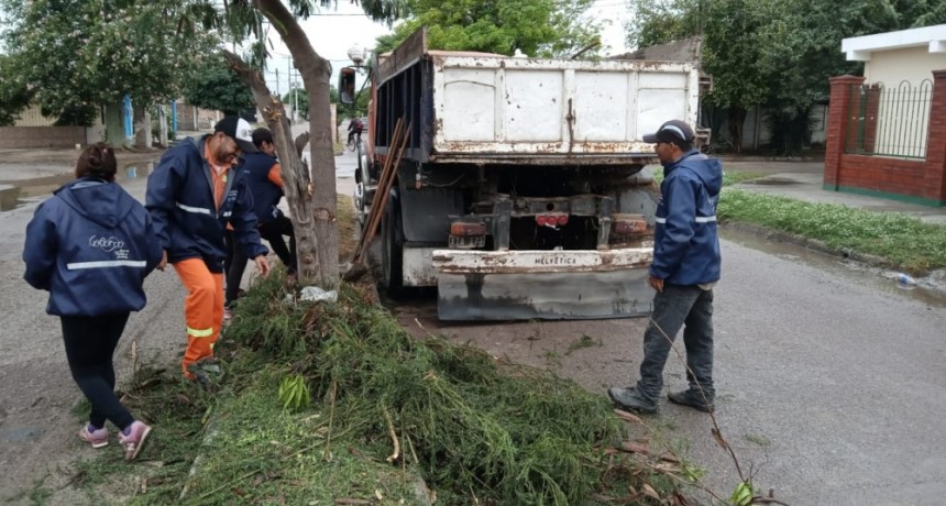 El intendente Nediani intensifica las tareas de fumigación y desmalezado en diferentes barrios de la ciudad