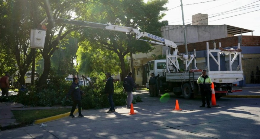 El municipio bandeño avanza con trabajos de poda en diferentes sectores de la ciudad 