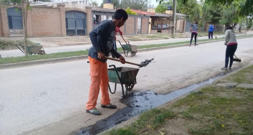 Intensifican la limpieza y desmalezamiento para evitar la proliferaci&oacute;n de alima&ntilde;as  