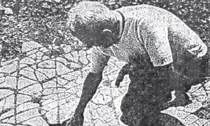 Sorpresa y p&aacute;nico por enigm&aacute;tica construcci&oacute;n de hace 200.000 a&ntilde;os