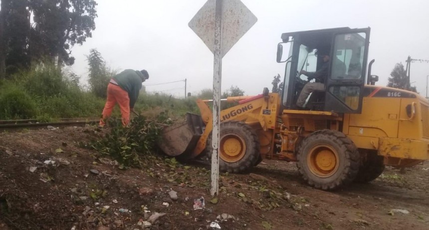 El municipio reforz&oacute; los trabajos de higiene en toda la ciudad