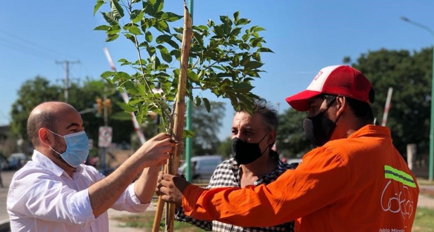 MIROLO LANZ&Oacute; EL PLAN DE REFORESTACI&Oacute;N 2021 CON EL QUE SE COLOCAR&Aacute;N 4 MIL EJEMPLARES ARB&Oacute;REOS
