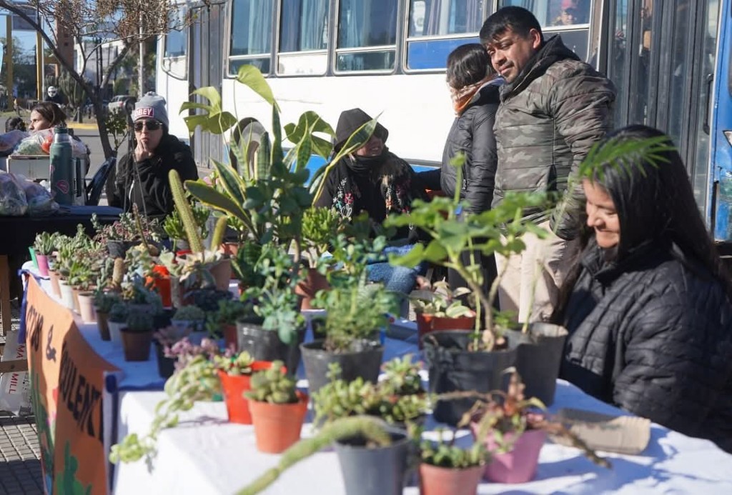 Se realizar&aacute; una nueva edici&oacute;n del &ldquo;Mercadito Saludable&rdquo; en el Paseo Gabriel &Aacute;balos&rdquo;
