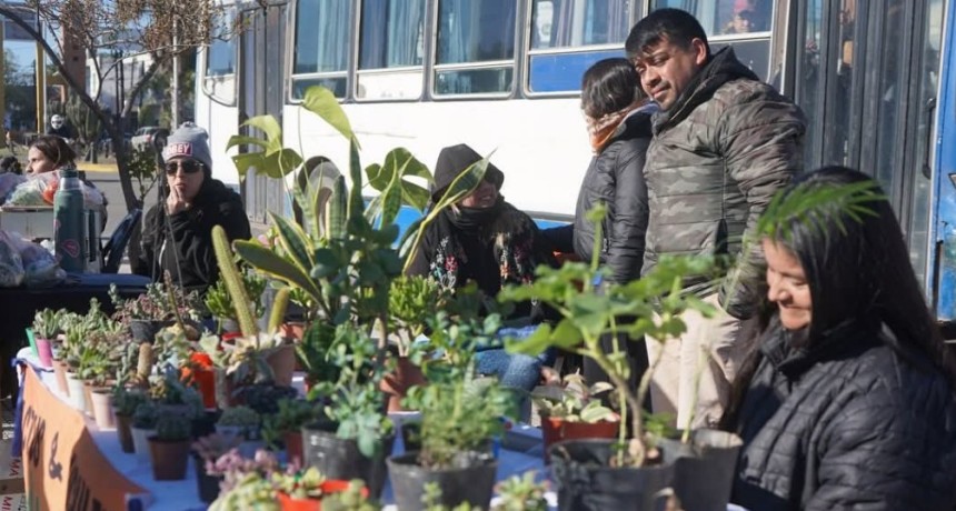 Se realizar&aacute; una nueva edici&oacute;n del &ldquo;Mercadito Saludable&rdquo; en el Paseo Gabriel &Aacute;balos&rdquo;