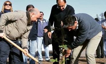 El Plan de Arbolado alcanz&oacute; las 1600 especies plantadas