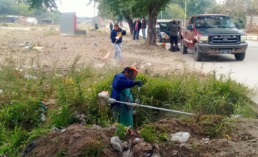 Calidad de Vida y Parques Paseos trabajan en la limpieza y poda de la ciudad  