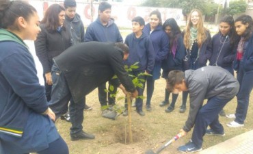  La comuna celebra el D&iacute;a Mundial del &Aacute;rbol plantando nuevas especies en la ciudad  