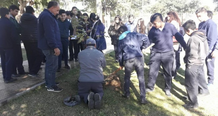 Alumnos del colegio Inti Huasi se suman al plan municipal de reforestaci&oacute;n de la ciudad