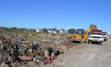 e notificar&aacute; a propietarios de terrenos por falta de mantenimiento
