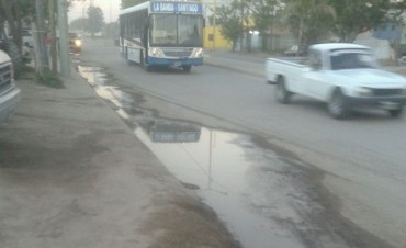 M&aacute;s comercios fueron clausurados por Calidad de Vida Municipal