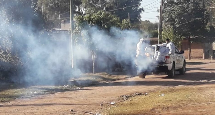 Intensifican los trabajos de fumigaci&oacute;n y desmalezamiento en toda la ciudad