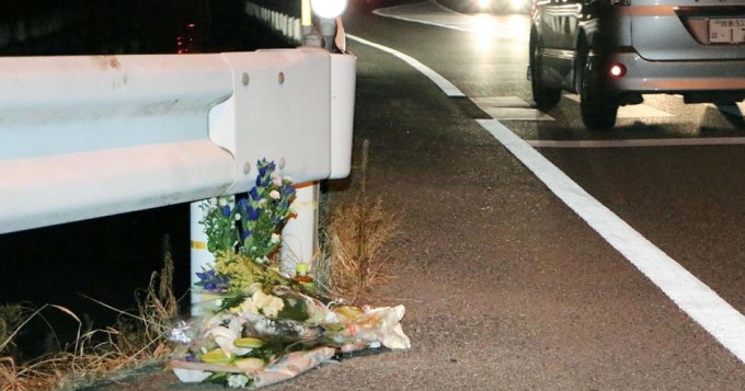 Camionero jugaba Pok&eacute;mon Go y mat&oacute; a anciana