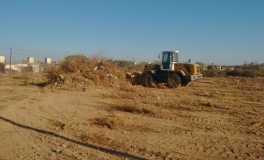 Intensos trabajos de limpieza en la zona norte de la ciudad