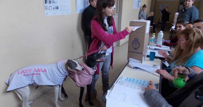 Vot&oacute; con dos galgos en protesta contra prohibici&oacute;n de carreras