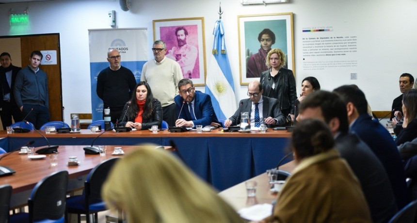 ASUNTOS CONSTITUCIONALES AVALÓ AUTORIZAR A LA JUEZA CAPUCHETTI A INVESTIGAR EL CELULAR DEL DIPUTADO MILMAN